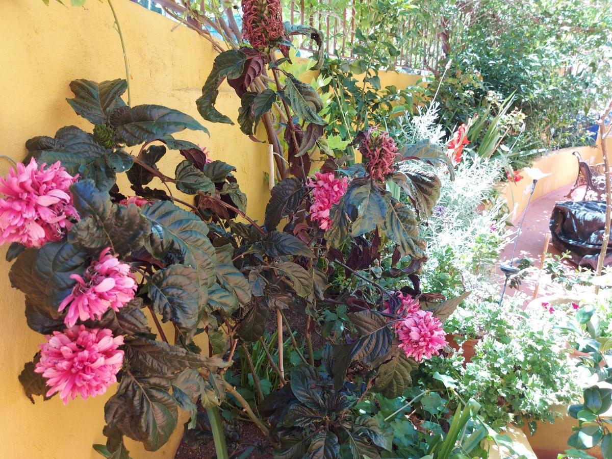 Casa Maestro Lelo - Acogedora Casa Rural Canaria Con Patios Y Jardines De Flores Las Palmas de Gran Canaria Bagian luar foto