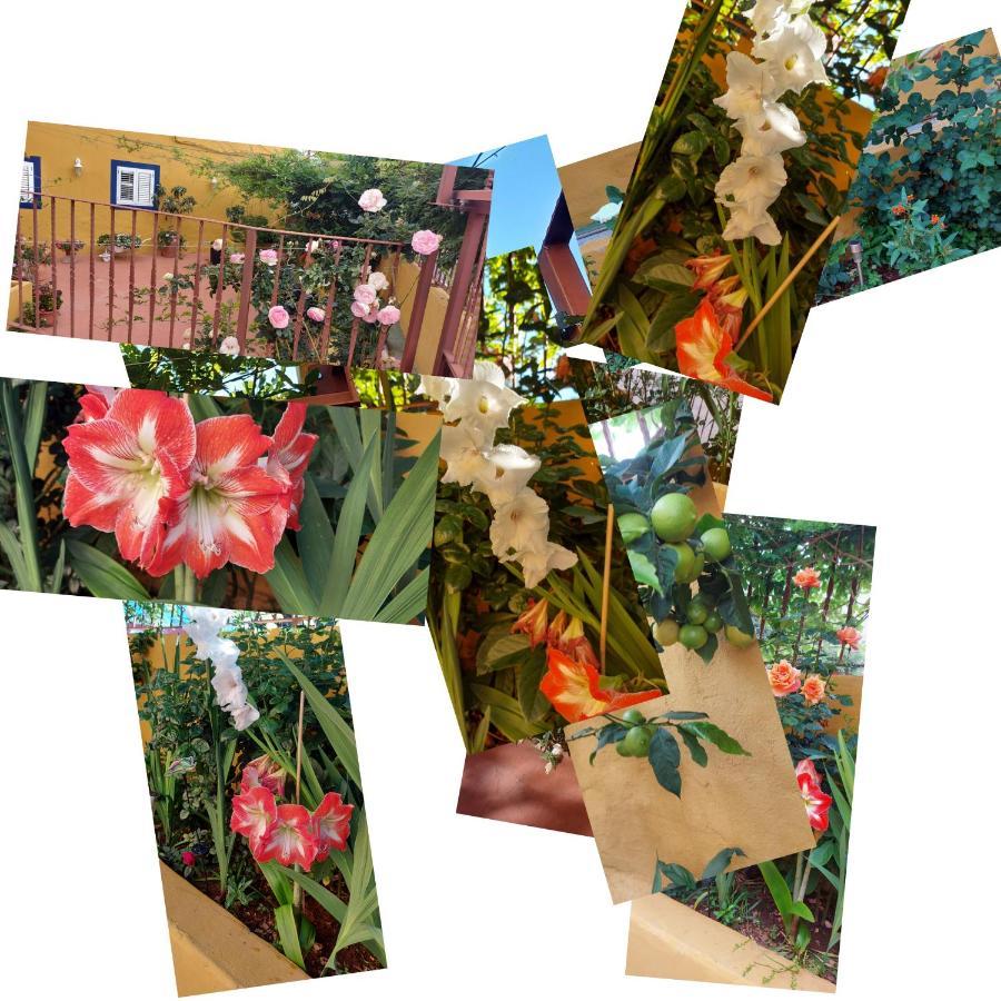 Casa Maestro Lelo - Acogedora Casa Rural Canaria Con Patios Y Jardines De Flores Las Palmas de Gran Canaria Bagian luar foto