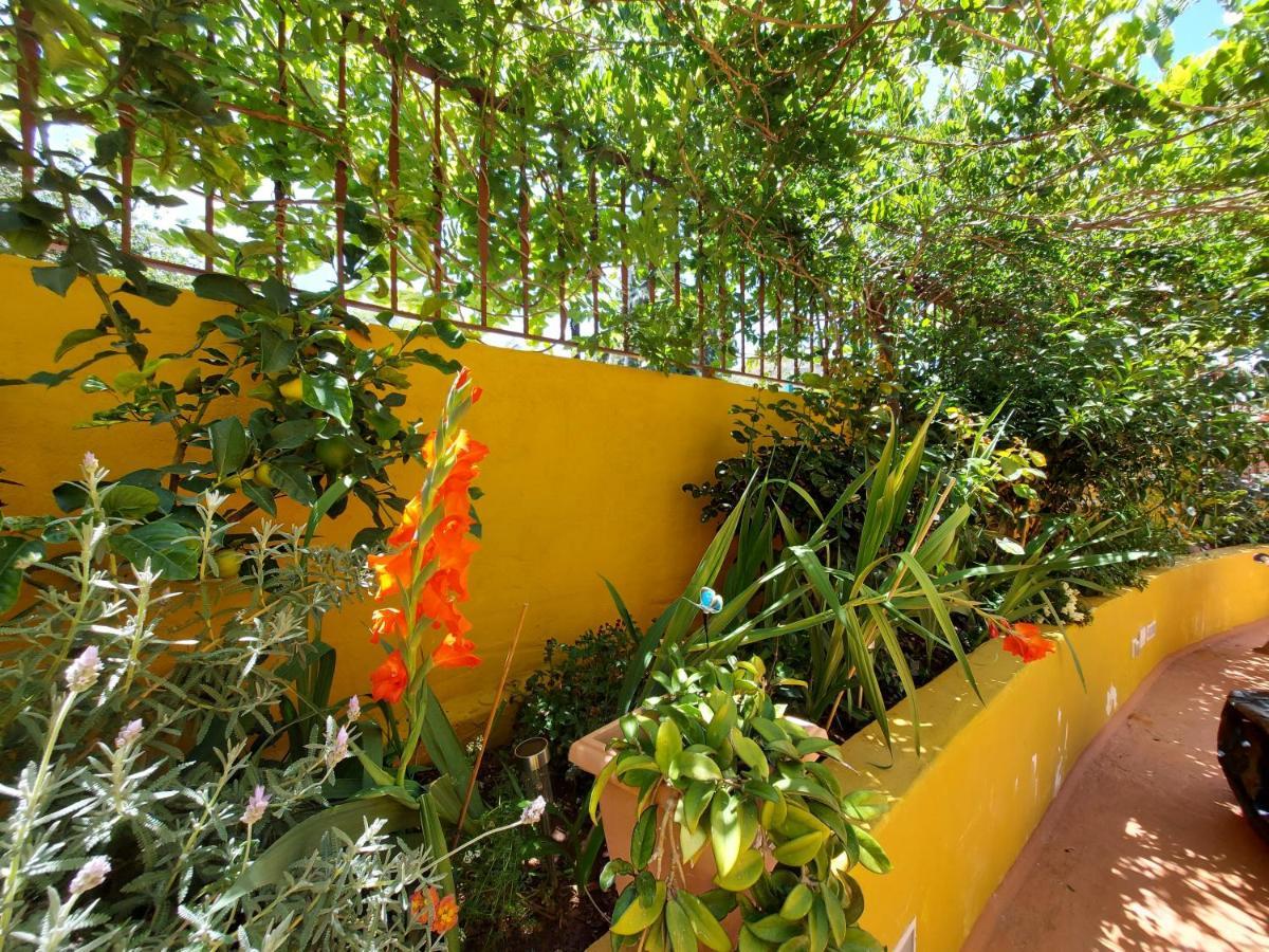 Casa Maestro Lelo - Acogedora Casa Rural Canaria Con Patios Y Jardines De Flores Las Palmas de Gran Canaria Bagian luar foto